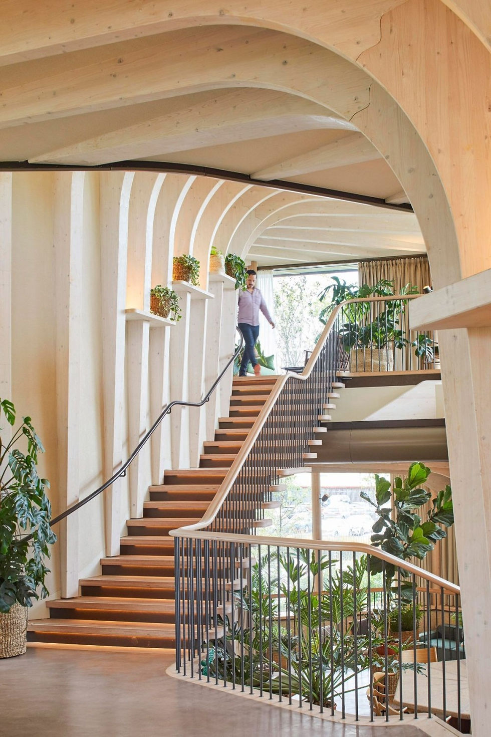 The Role of Wood in Human Health