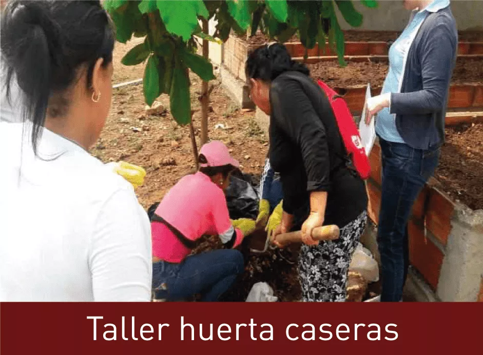 Programas-complementarios-1