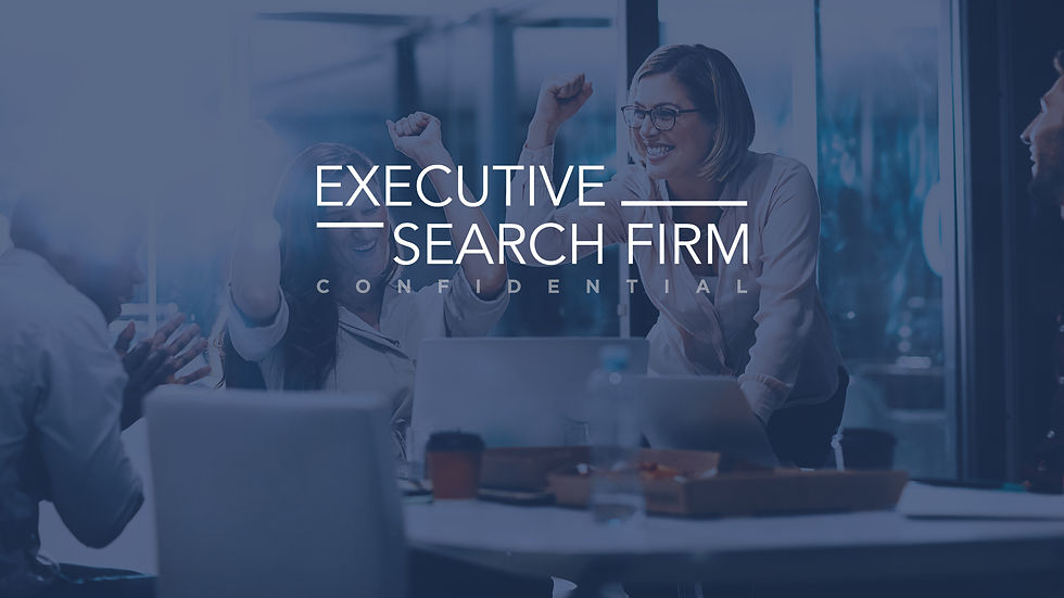 Executive Search Firm Investment Story