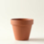 Terracotta Pot