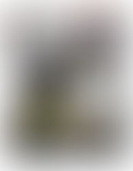 HomeFront Magazine in audio format