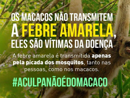 FEBRE AMARELA: Quem deve vacinar