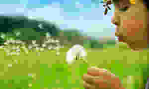 imagem retirada da internet