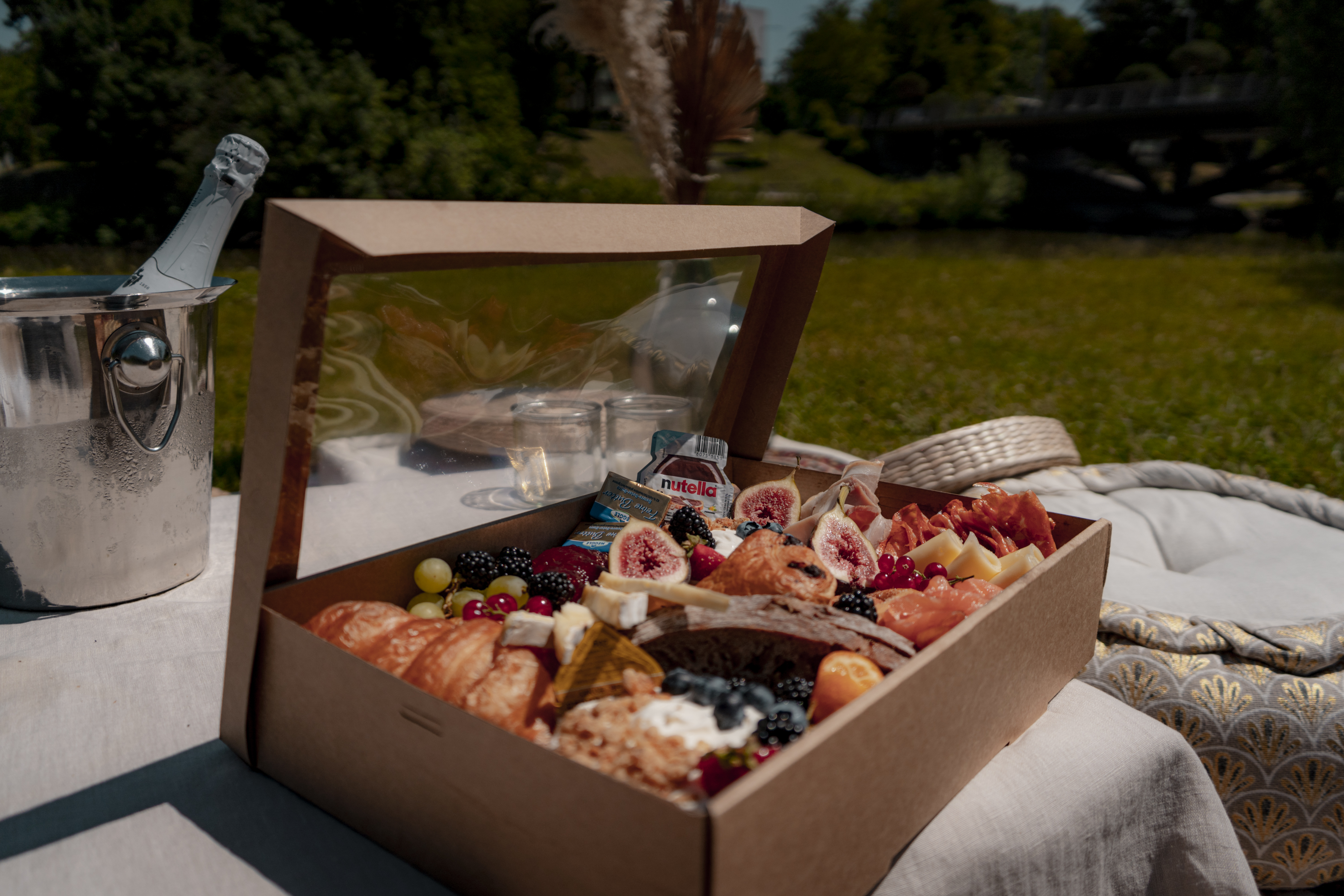 Arranged Food and Objects