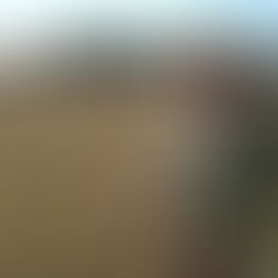 Farmers find healthy soils yield healthy profits