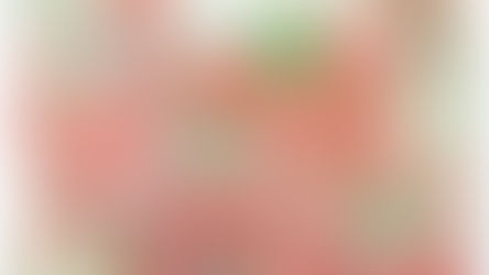 民國48年,新版羅馬城市詳圖,一萬二千之一比例尺《Black Water Museum Collections | 黑水博物館館藏》