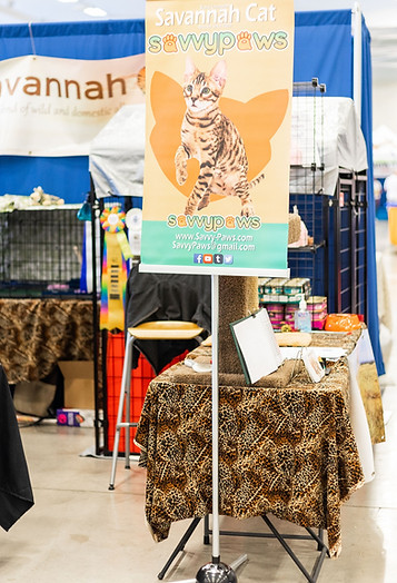 Ontario Cat Shows