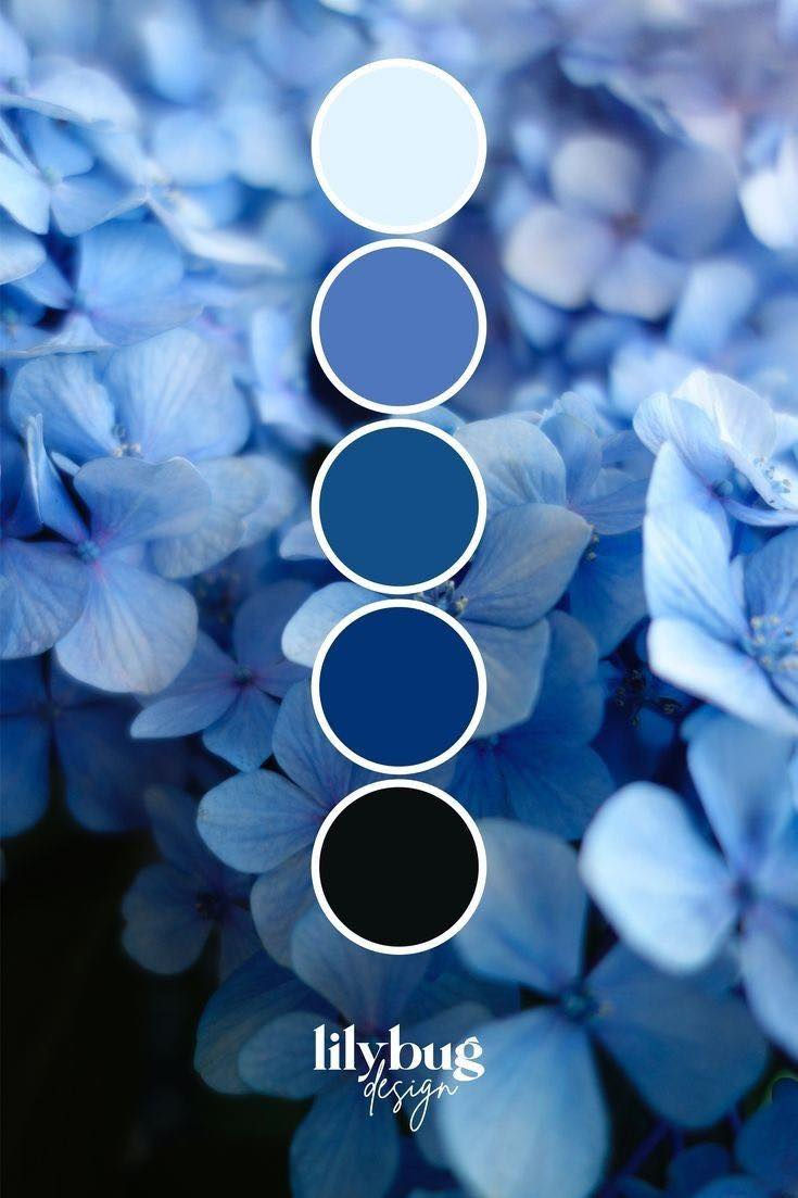 CLICK TO VIEW