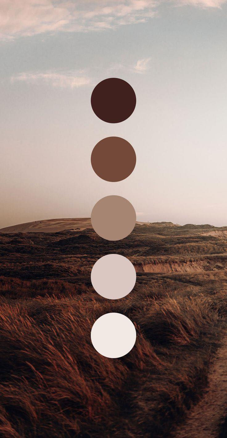 CLICK TO VIEW