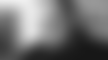 ZANZOTTO - HAIKU PER UNA STAGIONE