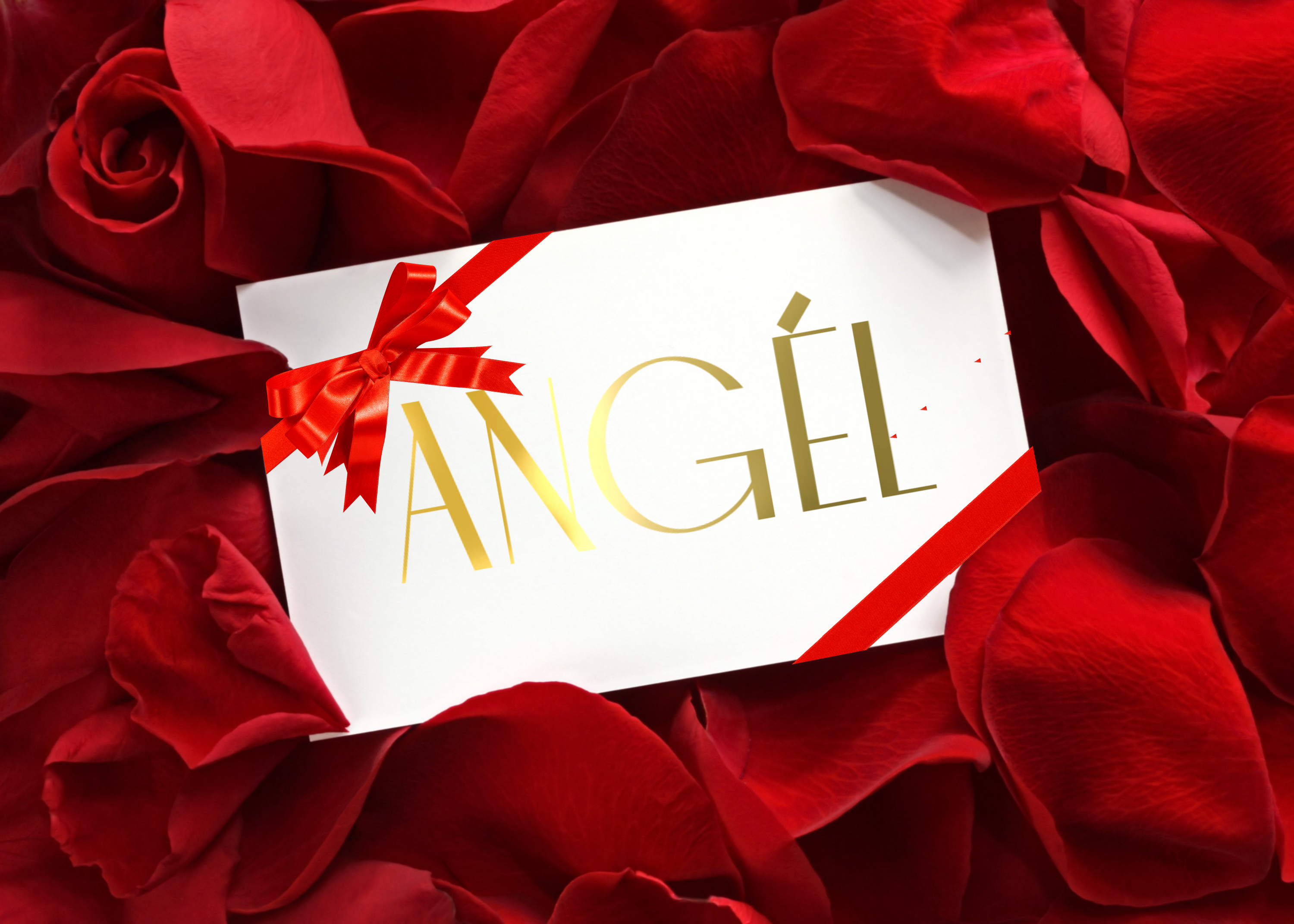 ANGÉL Gift 600 Layaway