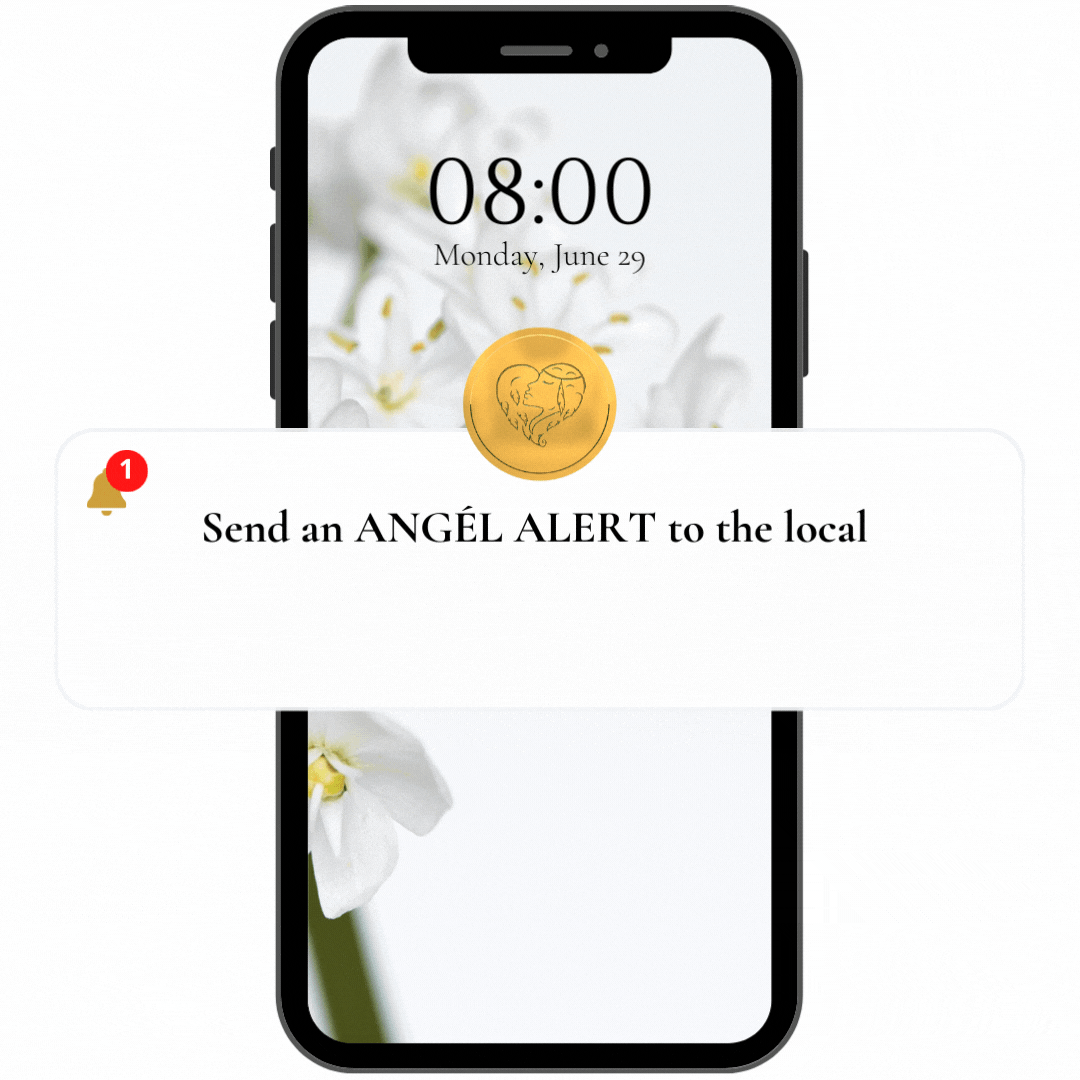 ANGEL ALERT (2).gif