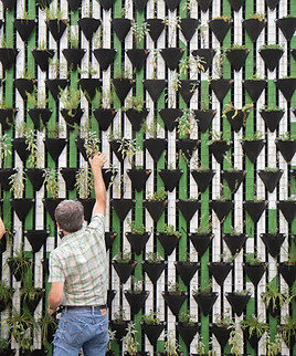 Vertical Garden 