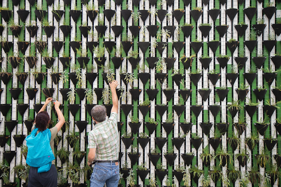 Jardim Vertical