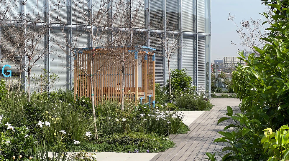 WhatsApp Image 2024-04-09 at 13.51.01 (1).jpeg