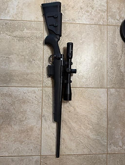 Howa 1500 REM 223.jfif