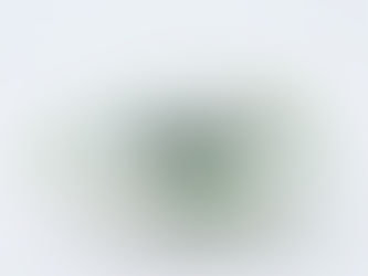 第81回現代美術展