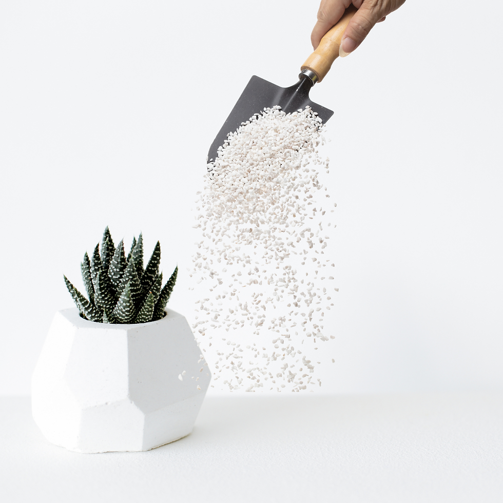 Thumbnail: Shovel with LECA