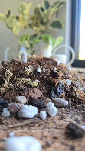 Orchid Soil Blend Mix | Maya Growing Mediums