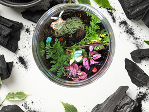 Charcoal in my soil? Here's why