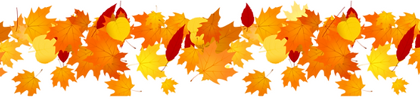 leaves.png