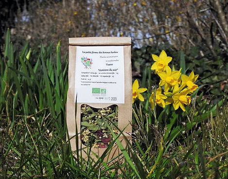 Histoiresdusoir (1)_edited.jpg