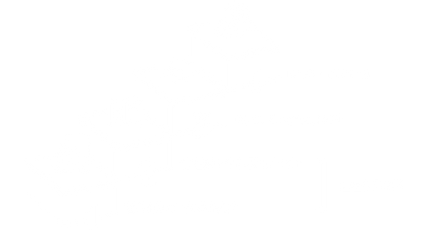 ЛЕМПС.png
