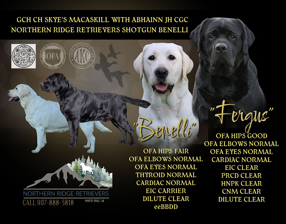 Thumbnail: Litter Announcement: Custom Digital