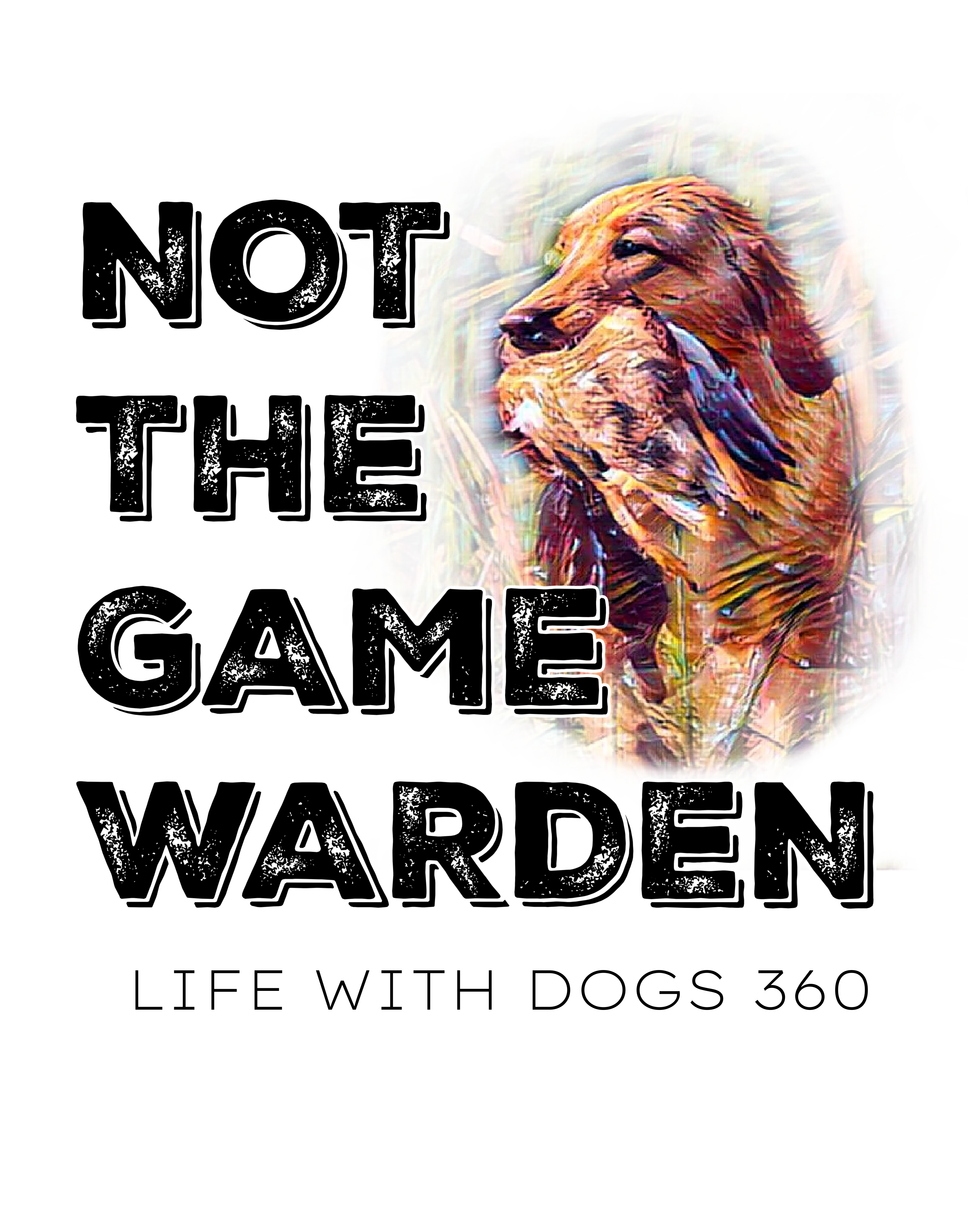 Not The Game Warden: Waterfowl