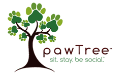 pawtree-logo (1).gif