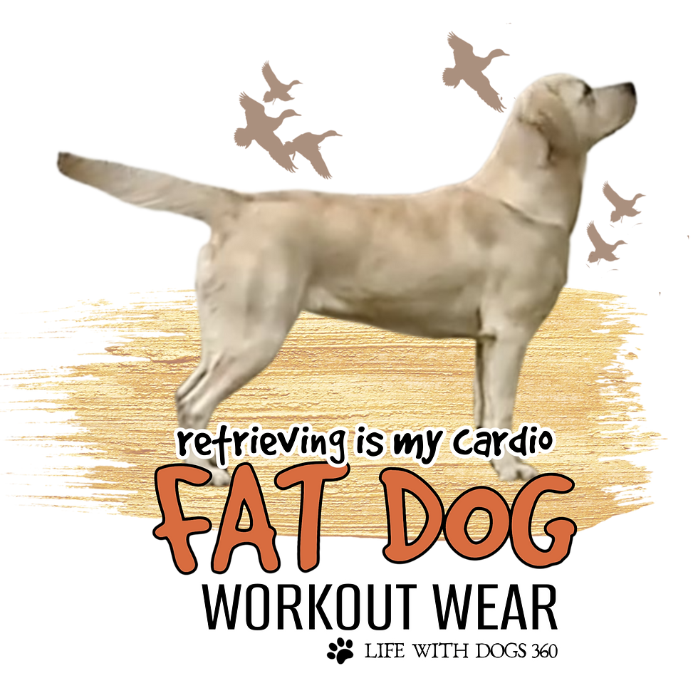Fat Dog T: Retrieving