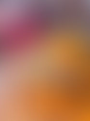 The Rhema of God's Voice