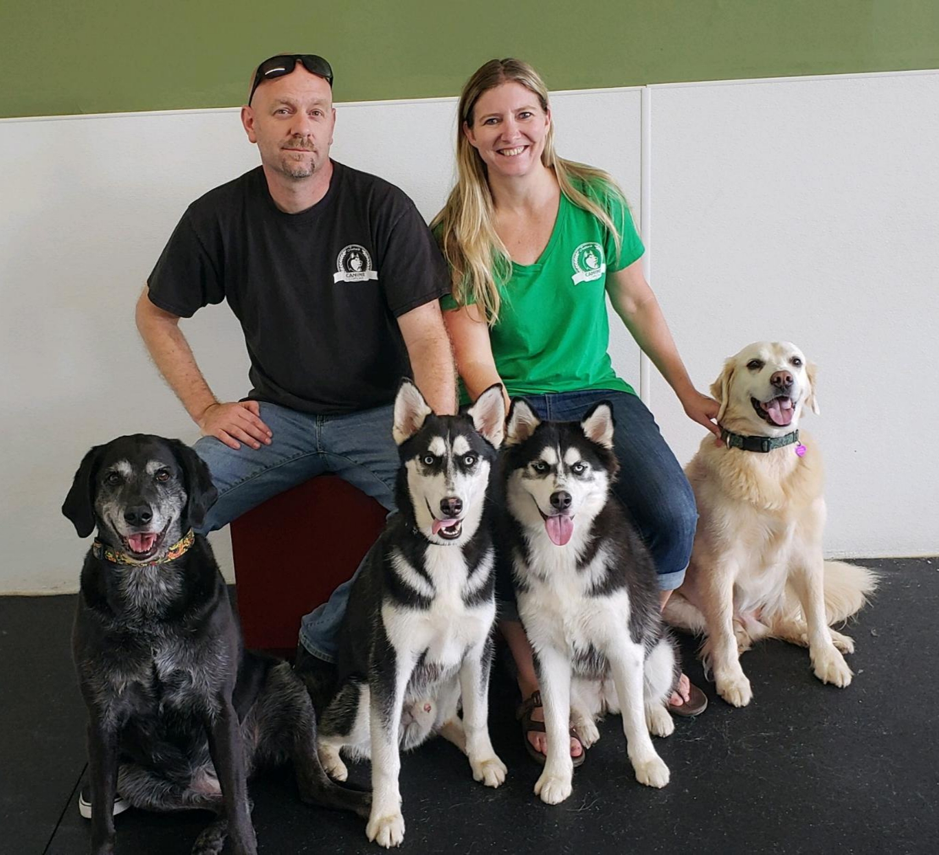canine campus dog daycare & boarding