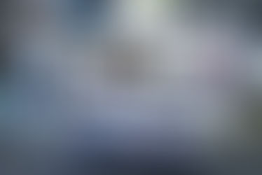 株式会社アーバンリサーチとのアートコラボレーションがスタート。 第1弾は写真家・竹本英樹の作品を用いたTシャツを 「THE GOODLAND MARKET」で限定販売。