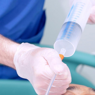 Enteral Beslenmede Gastrik Rezidü Kontrolü Yapmak Bilimsel Olarak Geçerli Bir Yöntem midir?