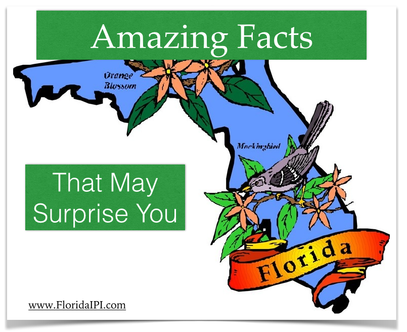 amazing facts about Florida- Wellington Luxury Homes for sale