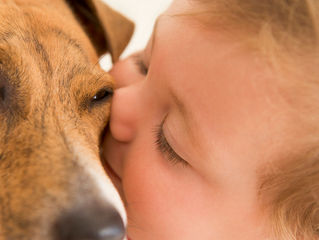 Federal Housing Laws - ADA and Service Animals For The Disabled