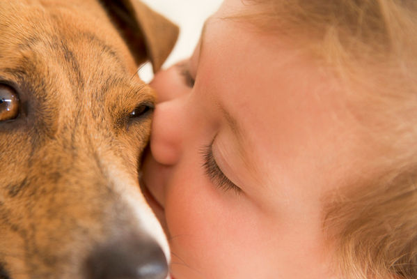 Service Animals- Pet Deposit against Fair Housing Laws