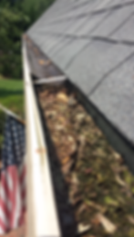 Debris Filled Gutters