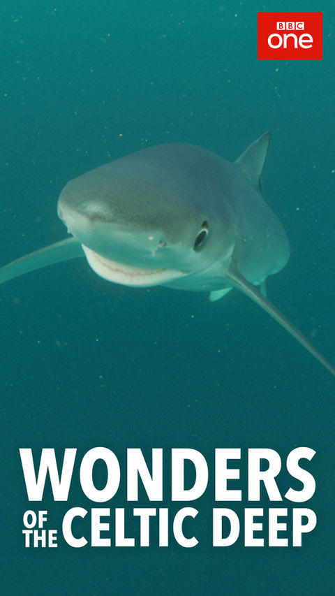 TV Poster for Wonders of the Celtic Deep Series