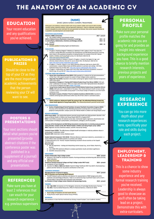 The anatomy of an academic CV