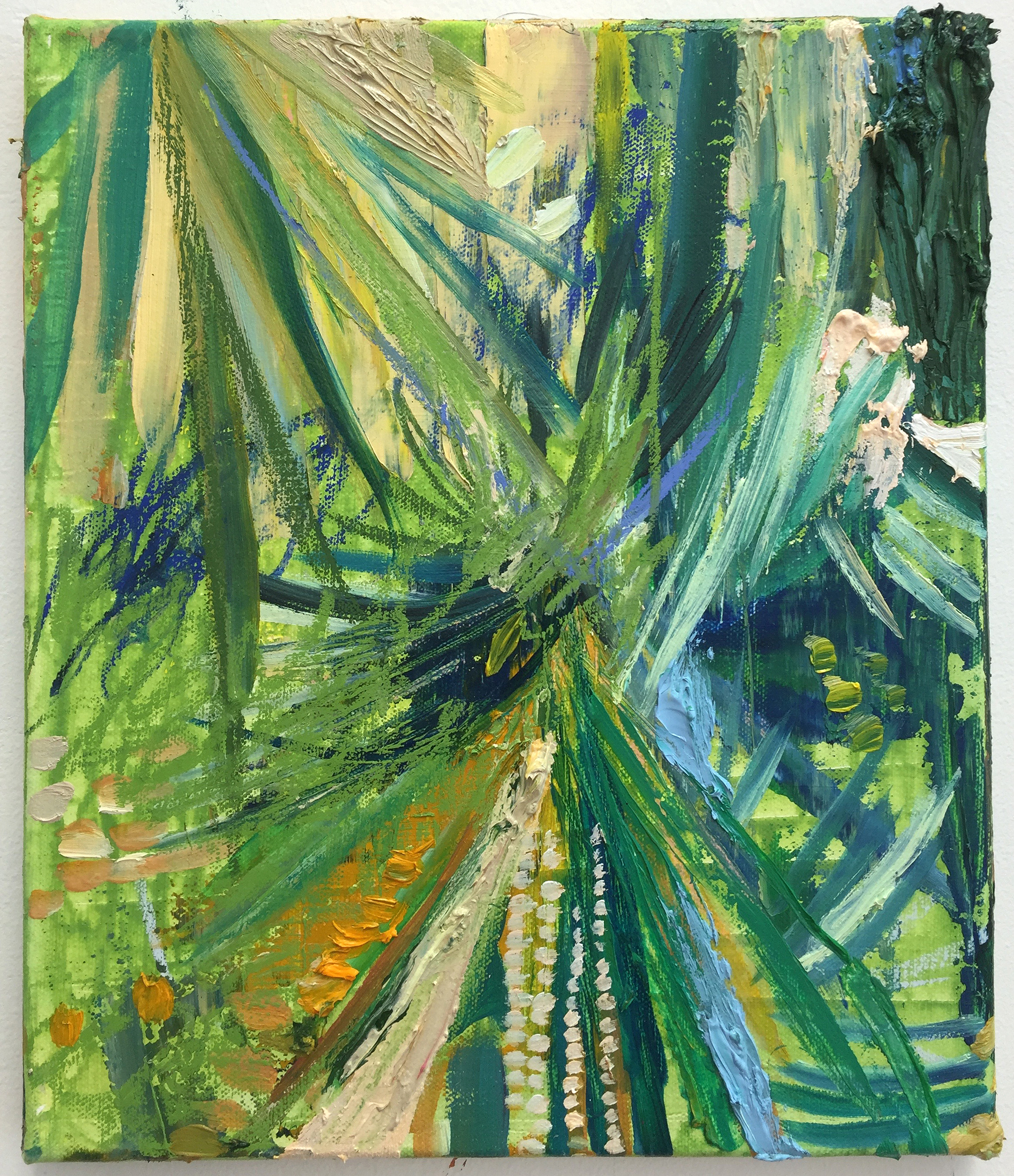 The garden