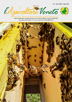 apicoltore_veneto_luglio_2024_stampa-1.png