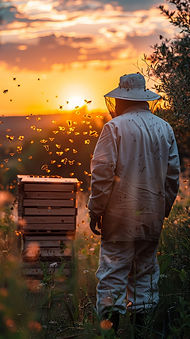 Fioriture utili alle api e agli altri impollinatori