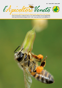 apicoltore_veneto_luglio_2024_stampa-1.png