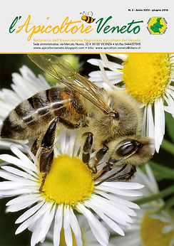 apicoltore_veneto_luglio_2024_stampa-1.png