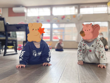 11月のベビ👶