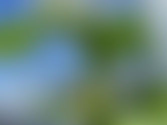 畑活部から 野菜たちの成長をお届け