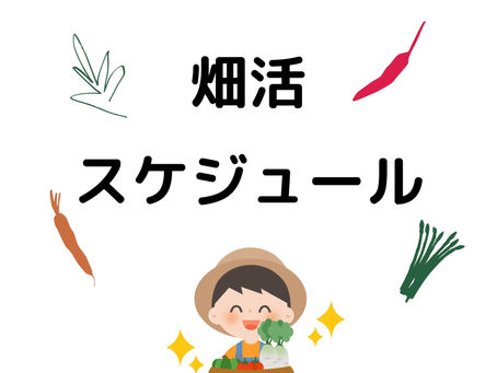 畑活スケジュールが決まりました✨7/31㈰のマルシェに向け、ゆるりと活動します(*^^*)