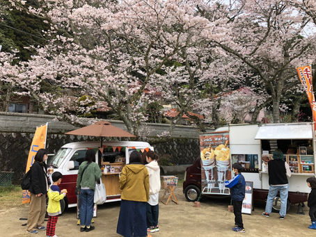 3.31(木)大盛況のお花見会(*^^*)🌸💛